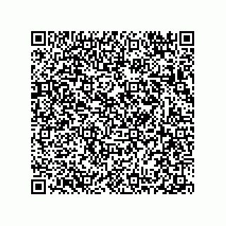 vCard 78313310411