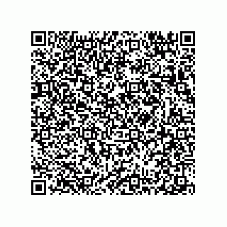 vCard 78313310420