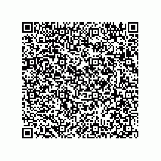vCard 78313310421