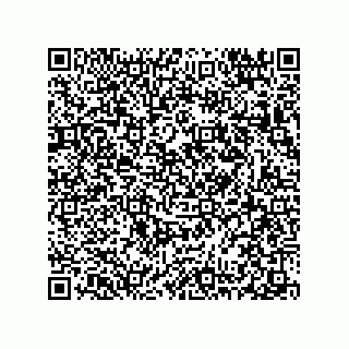 vCard 78313310424