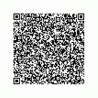 vCard 78313310429