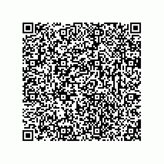 vCard 78313310450