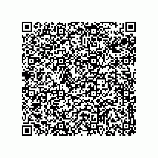 vCard 78313310459