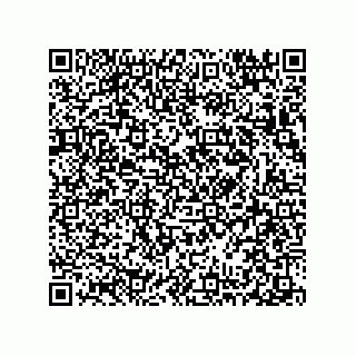 vCard 78313310489