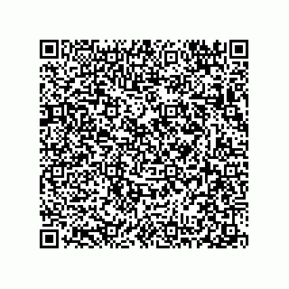 vCard 78313310490