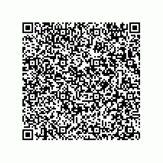 vCard 78313310545