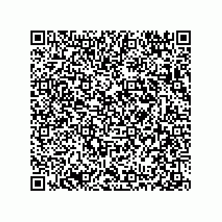 vCard 78313310599