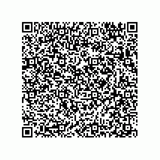 vCard 78313310600