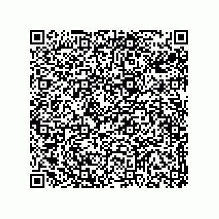 vCard 78313310601