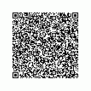 vCard 78313310603