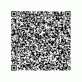 vCard 78313310633