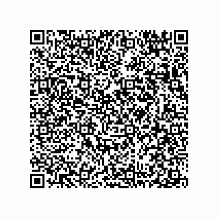 vCard 78313310665