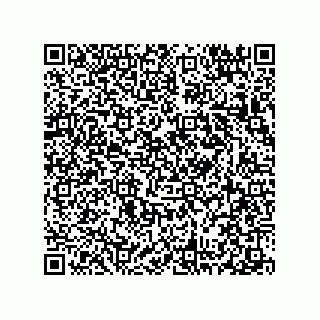 vCard 78313314311