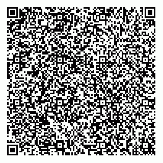vCard 78313314319