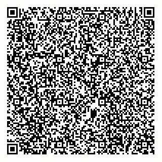 vCard 78313314321