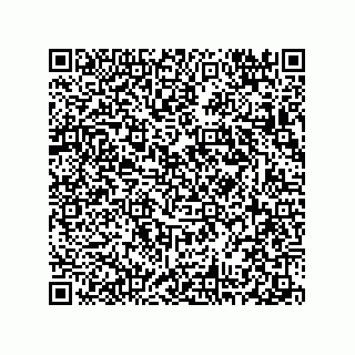 vCard 78313314338