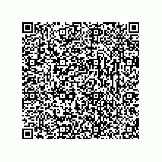 vCard 78313314371