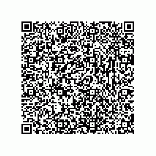 vCard 78313314385