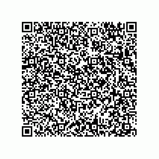 vCard 78313314390