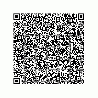 vCard 78313314395