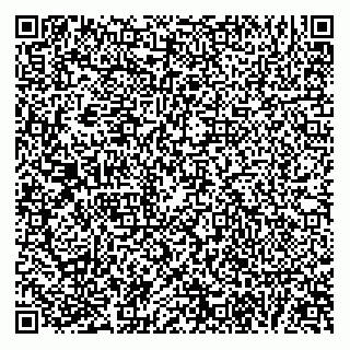 vCard 78313314502