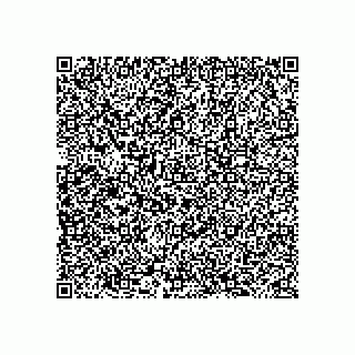 vCard 78313351395