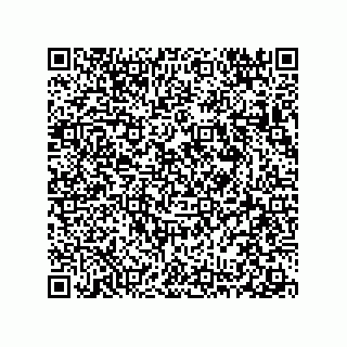 vCard 78313360002