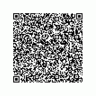vCard 78313360033