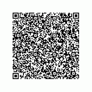 vCard 78313360037