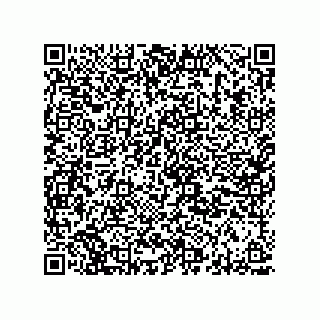 vCard 78313360041