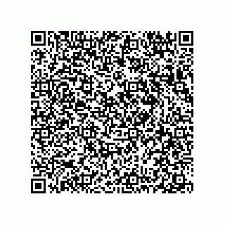 vCard 78313360065
