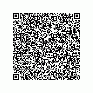 vCard 78313360080