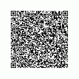 vCard 78313360095