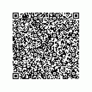 vCard 78313360098