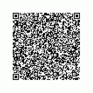 vCard 78313360099