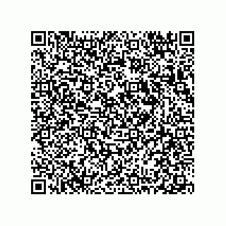 vCard 78313360104