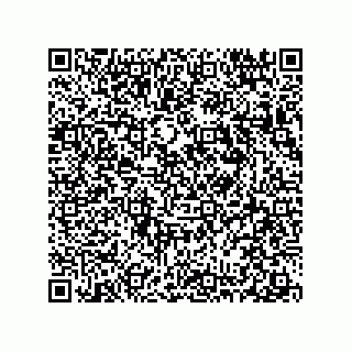 vCard 78313360105