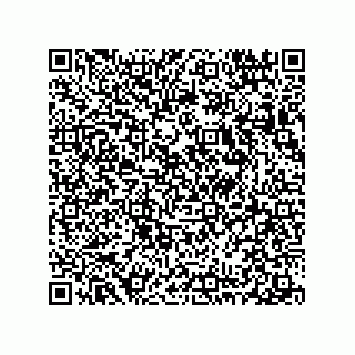 vCard 78313360106
