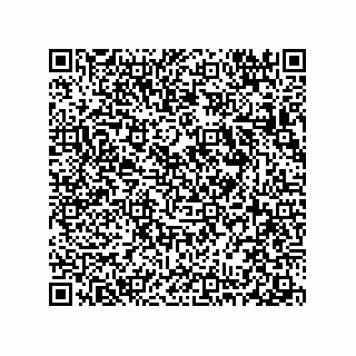 vCard 78313360110