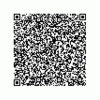 vCard 78313360113