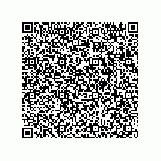 vCard 78313360133