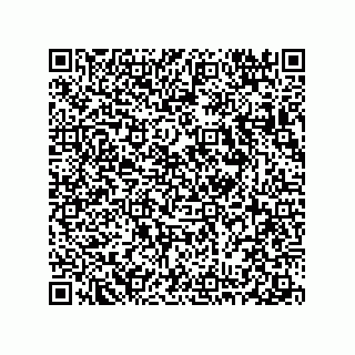 vCard 78313360137