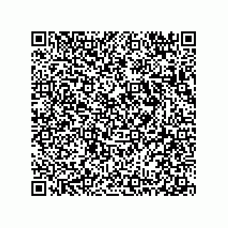 vCard 78313360140