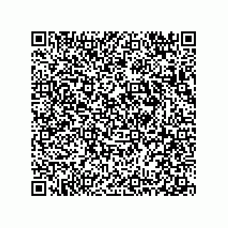 vCard 78313360159