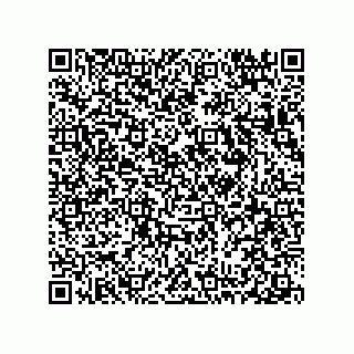vCard 78313360163