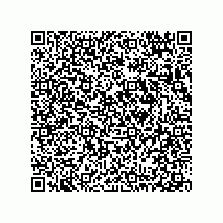 vCard 78313360180