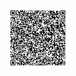vCard 78313360197