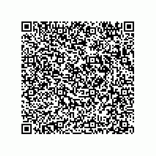 vCard 78313360199