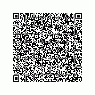 vCard 78313360201