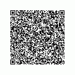vCard 78313360202